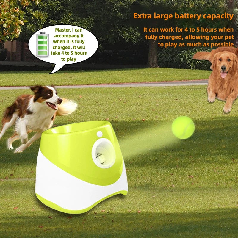 FurryPalace™ Launch - Automatic Ball Launcher