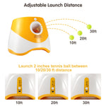 FurryPalace™ Launch - Automatic Ball Launcher