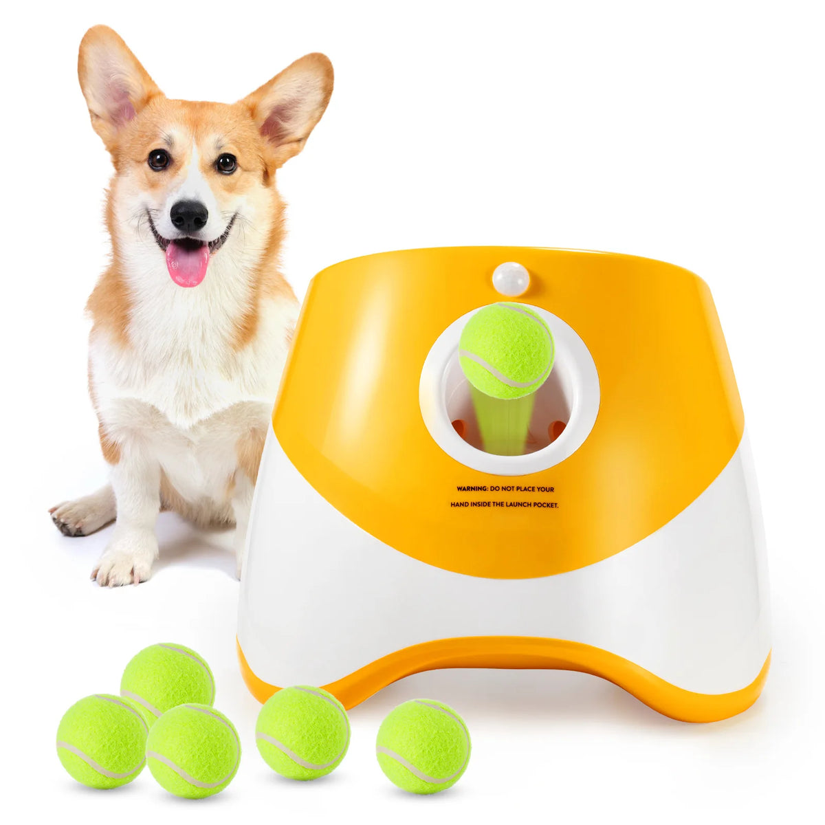 FurryPalace™ Launch - Automatic Ball Launcher