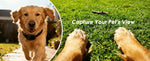 FurryPalace™ Scout - HD Pet Collar Camera