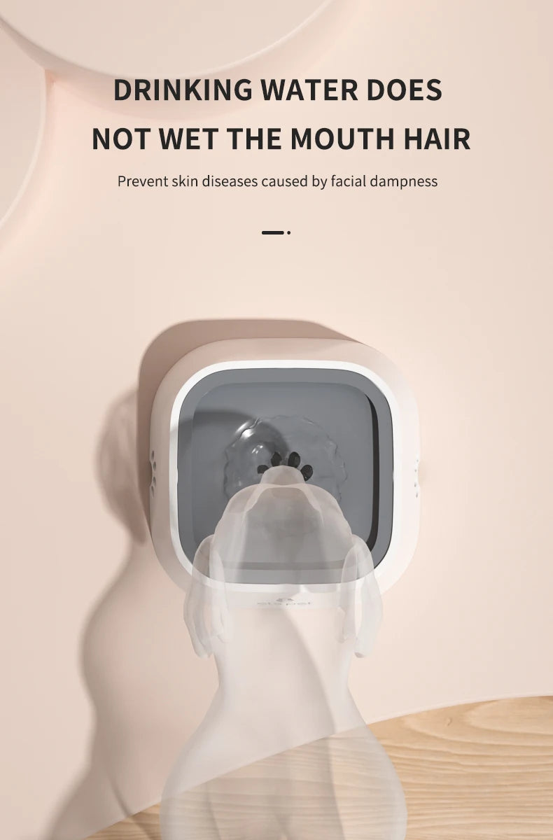 Dog Drinking Water Bowl with Floating Design - Non-Wetting, Non-Skid, Large Capacity   1