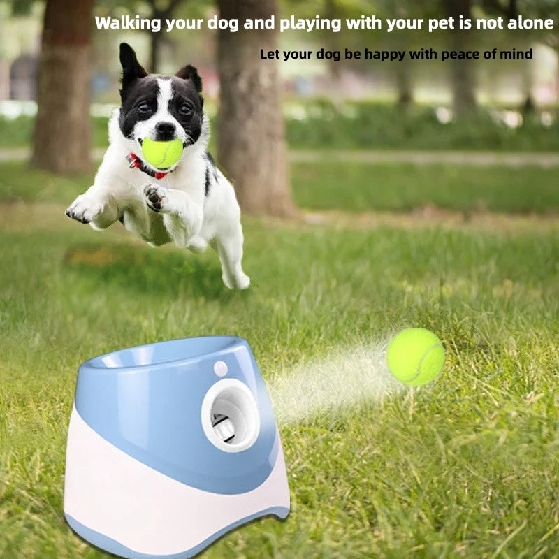 FurryPalace™ Launch - Automatic Ball Launcher