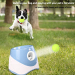 FurryPalace™ Launch - Automatic Ball Launcher