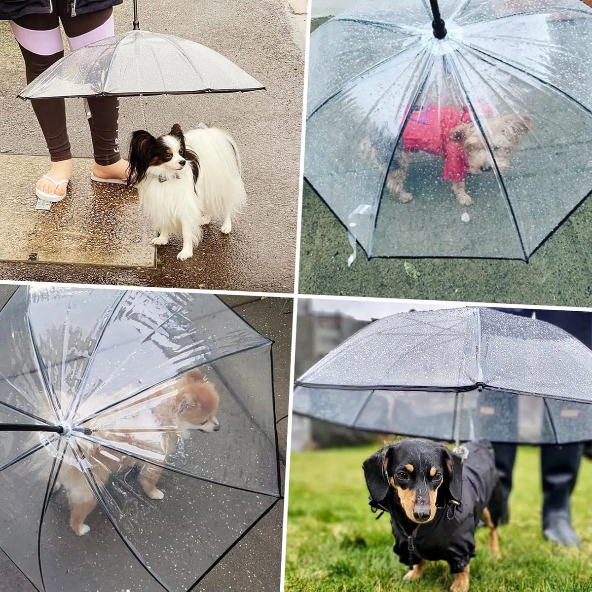 FurryPalace™ Mist - Dog Umbrella Leash