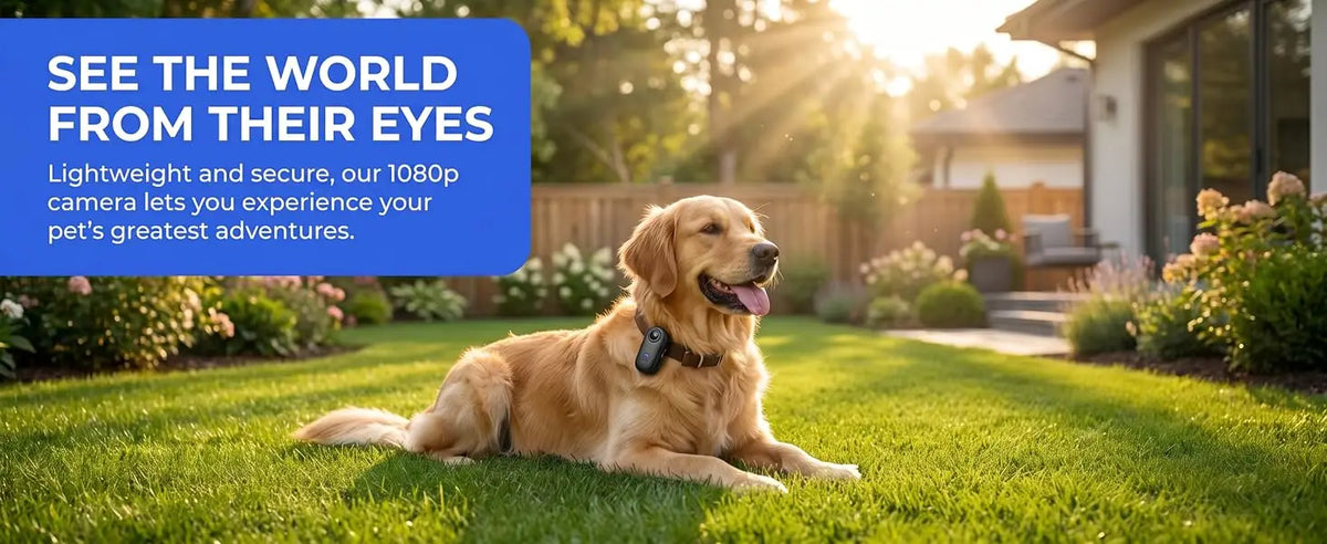 FurryPalace™ Scout - HD Pet Collar Camera