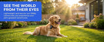 FurryPalace™ Scout - HD Pet Collar Camera