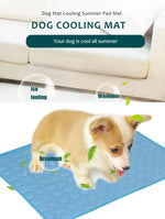 FurryPalace™ Frost - Pet Cooling Mat