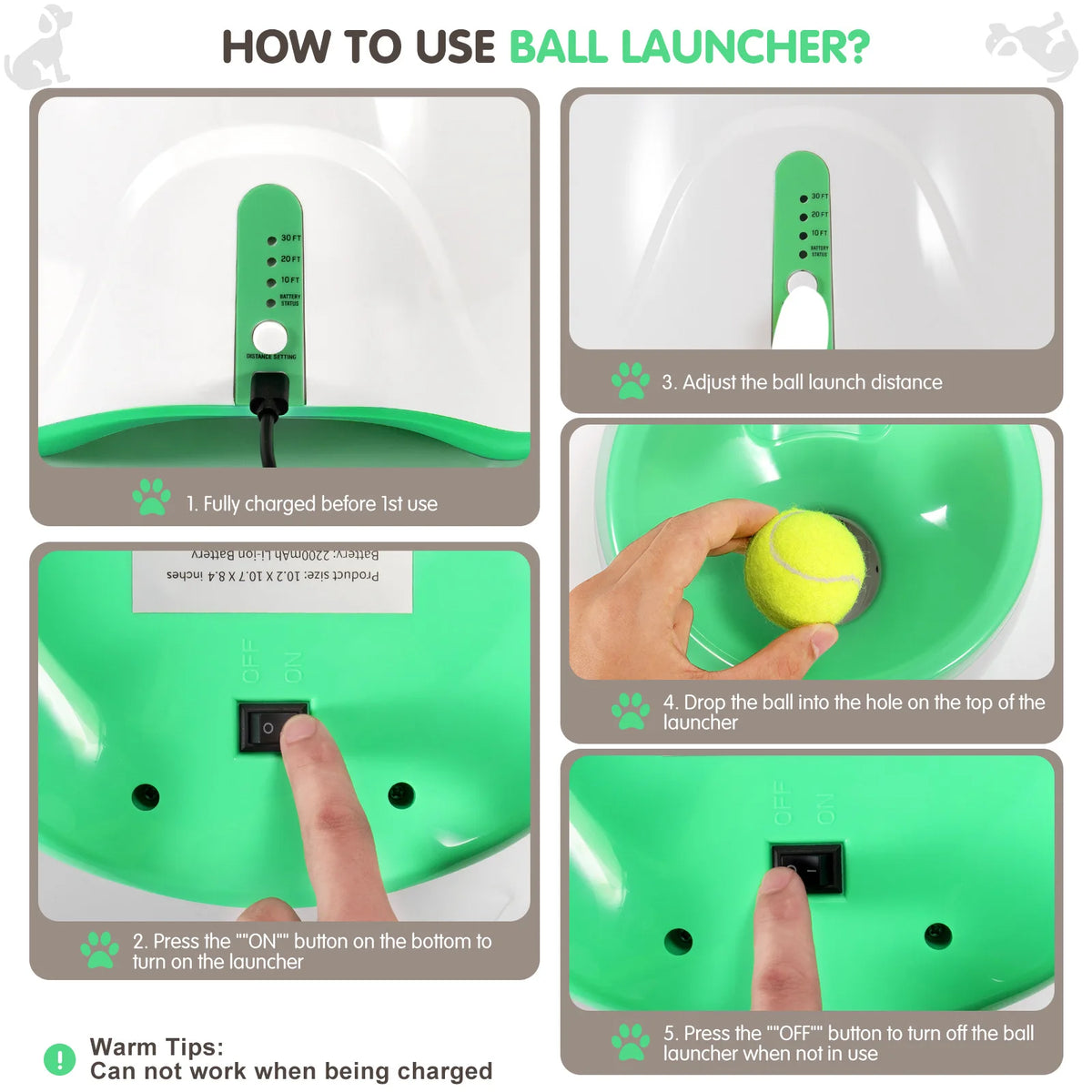 FurryPalace™ Launch - Automatic Ball Launcher