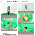 FurryPalace™ Launch - Automatic Ball Launcher