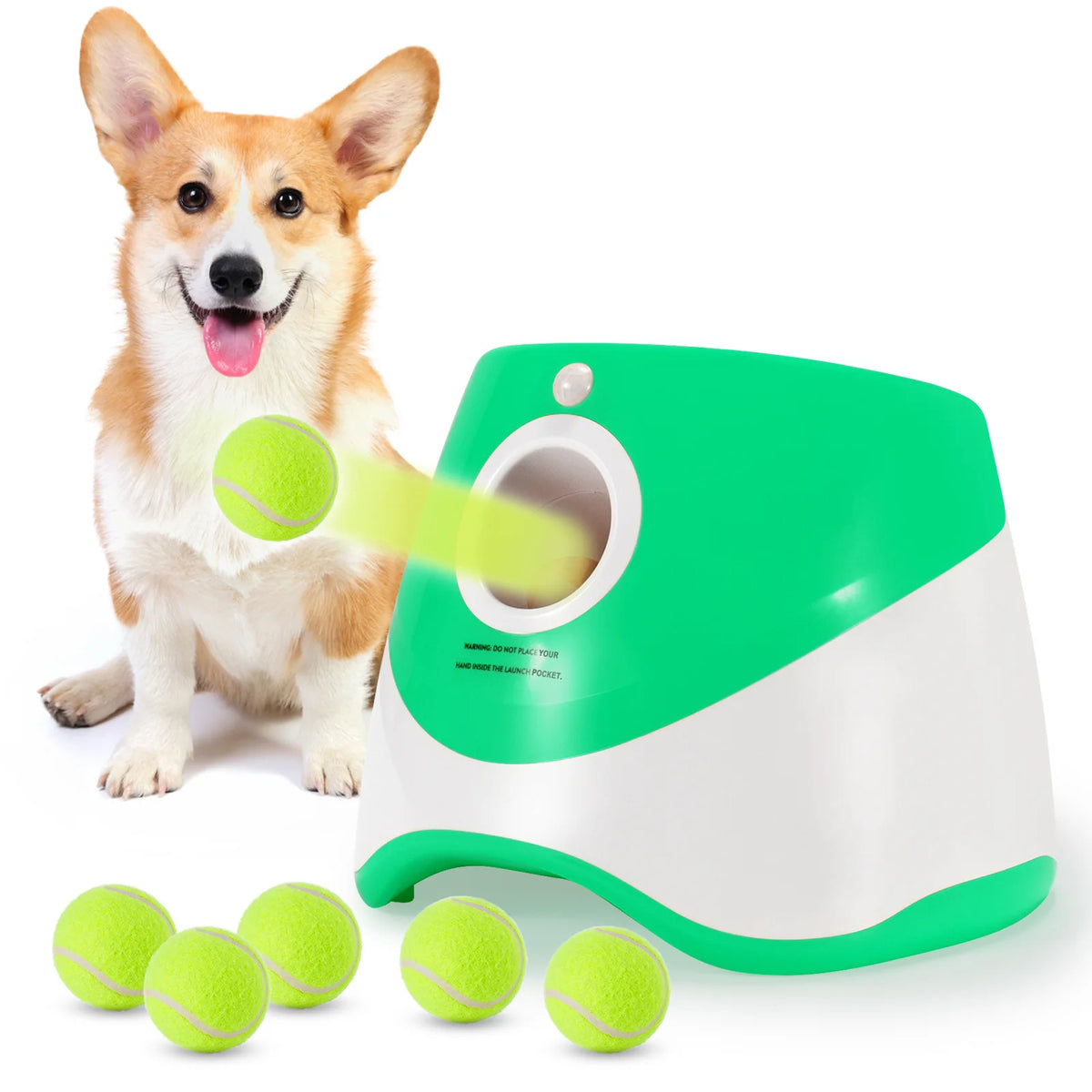 FurryPalace™ Launch - Automatic Ball Launcher