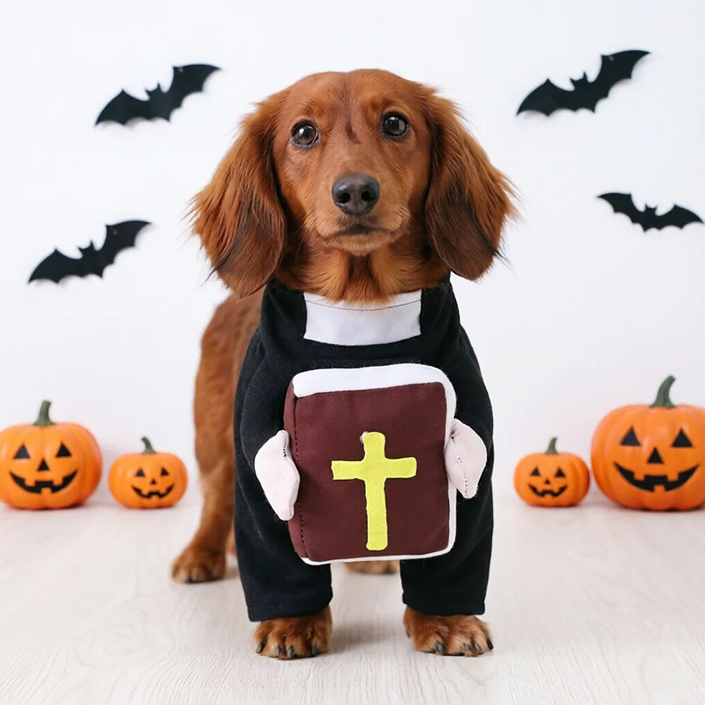 FurryPalace™ Sister - Cat Nun Halloween Costume