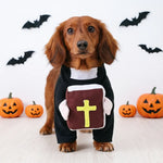 FurryPalace™ Sister - Cat Nun Halloween Costume
