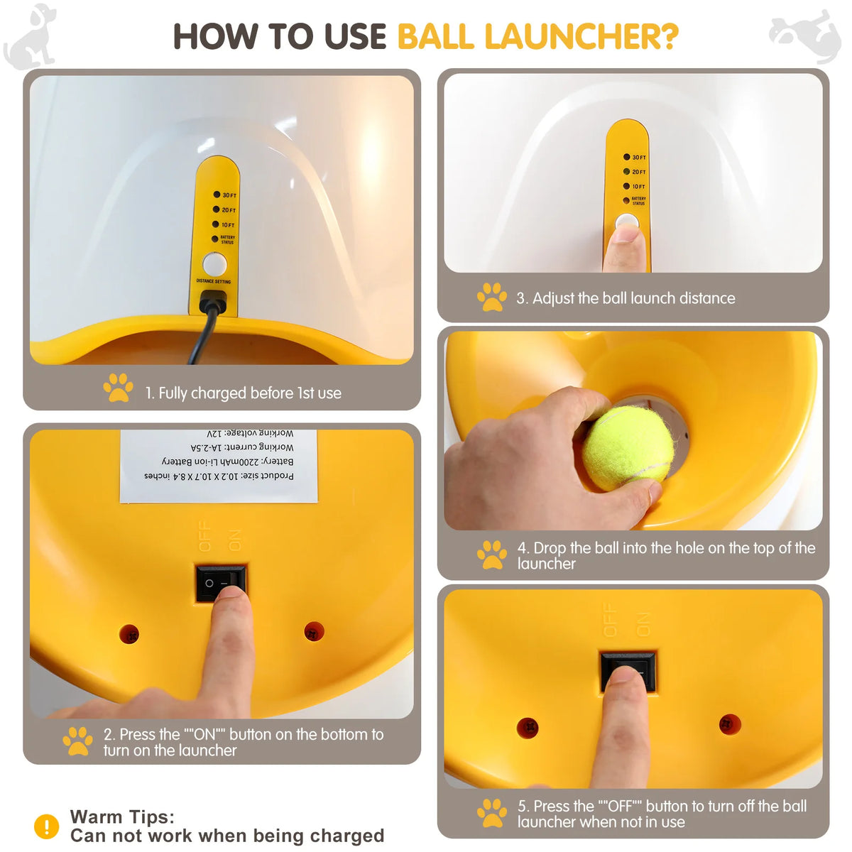 FurryPalace™ Launch - Automatic Ball Launcher