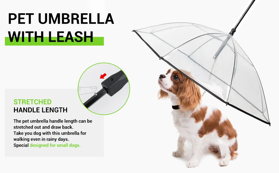 Dog Umbrella