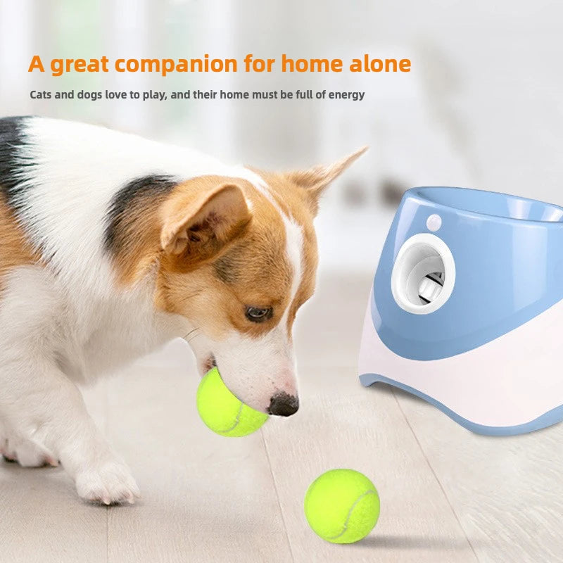 FurryPalace™ Launch - Automatic Ball Launcher