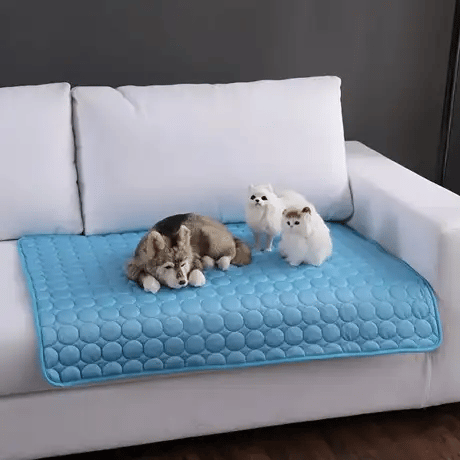 Dog and cat resting on the FurryPalace Frost cooling mat