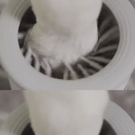 Large dog paw inside the PawSpin cleaner