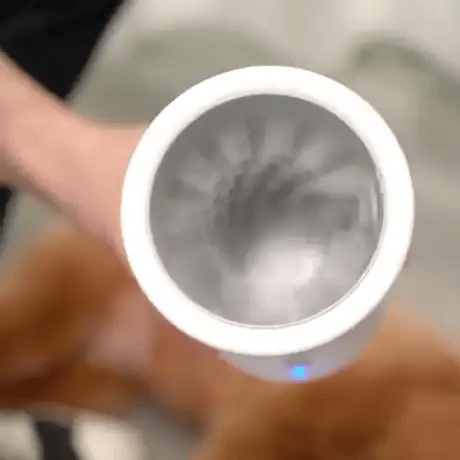 FurryPalace PawSpin electric paw cleaner washing a dog paw